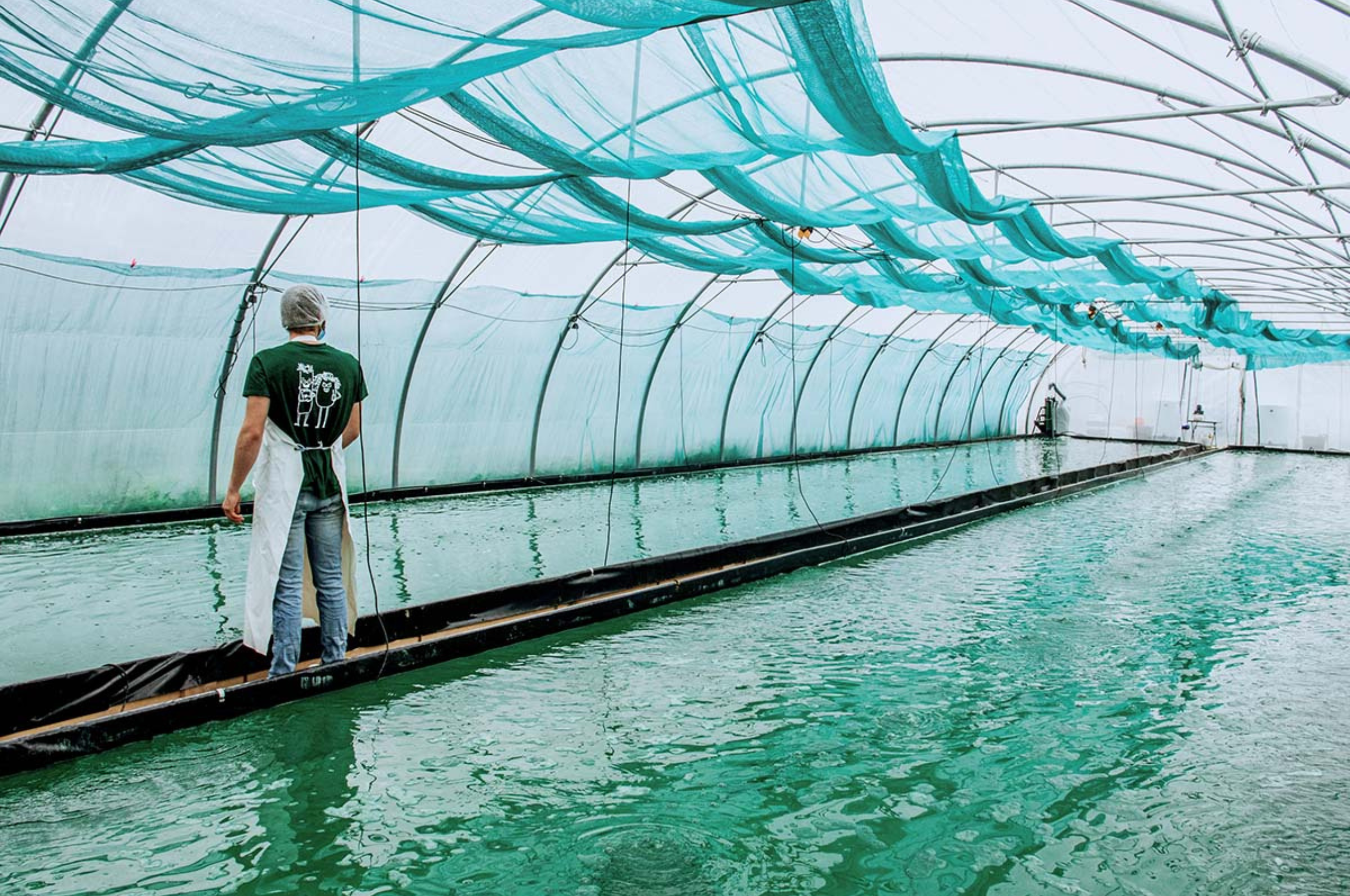 Une ferme de spiruline, ça se visite !