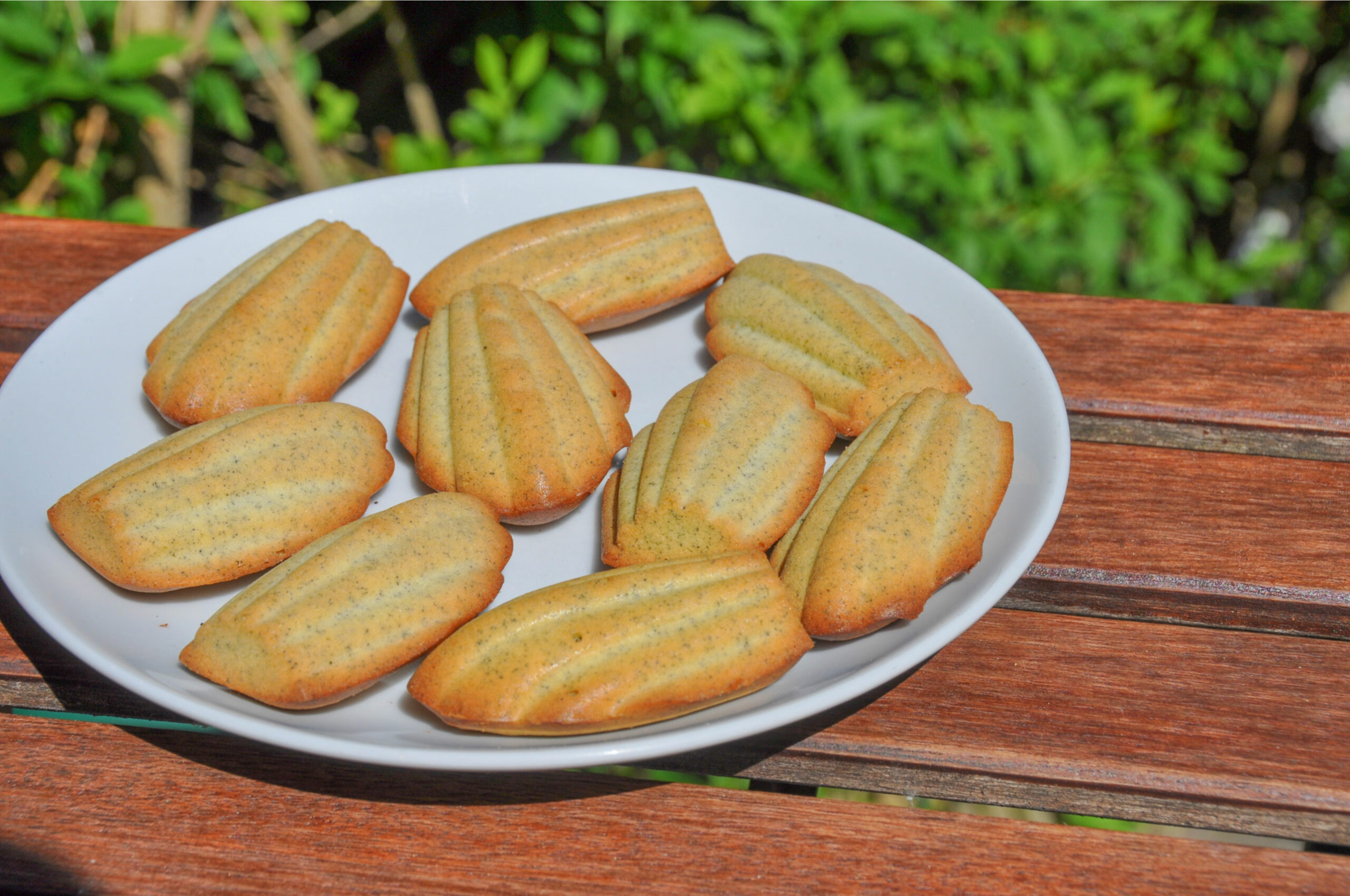 Les madeleines à la spiruline