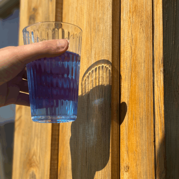 Verre d’eau contenant de la phycocyanine liquide bio, boisson bleue naturelle Etika Spirulina