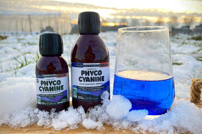 La phycocyanine, un puissant stimulant immunitaire en hiver