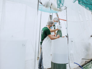 Etika-Spirulina_Photo-Part1_Serre- (6)