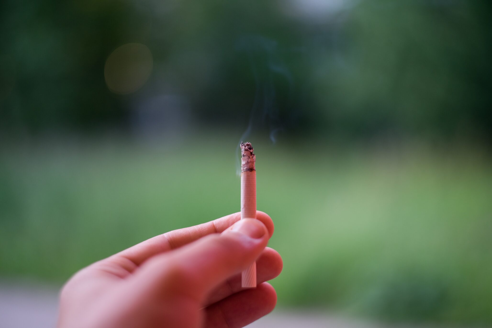 La spiruline et le tabac