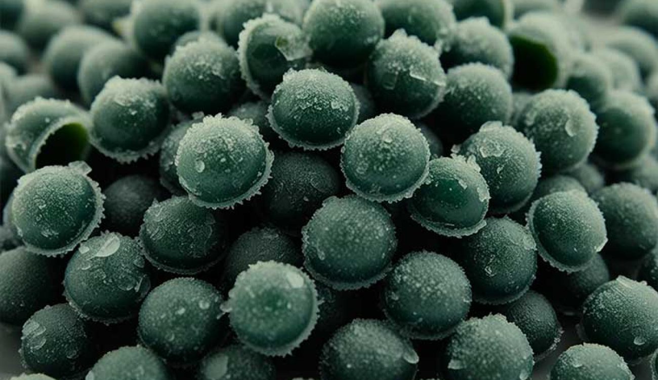 spiruline-bio-surgelee