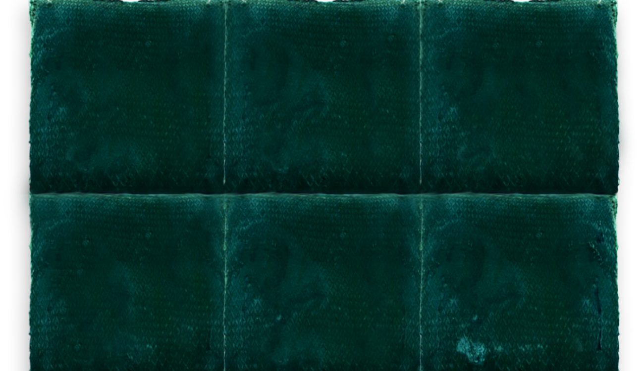 Spiruline Surgelée en Morceaux – Vue d’ensemble. Ensemble de spiruline surgelée en morceaux, texture solide et couleur verte profonde.